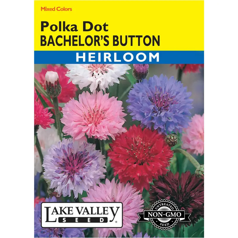 Lake Valley, Bachelor's Button Polka Dot, Mixed Color