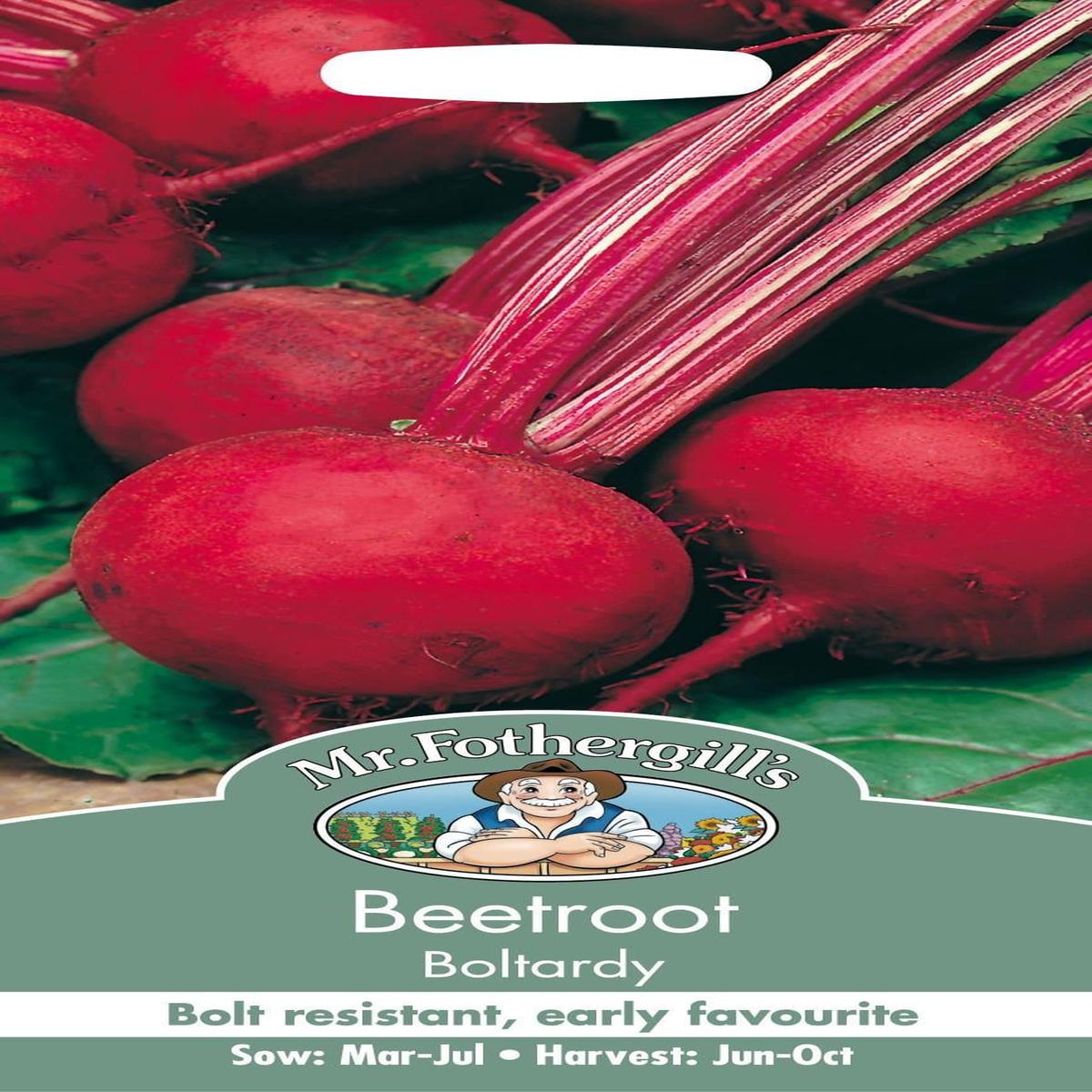 Mr Fothergills Beetroot Boltardy 550 Seed Bumper Pack