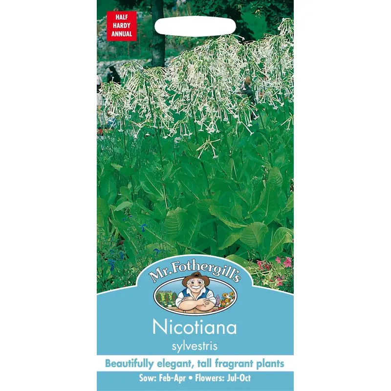 Mr Fothergills Nicotiana Sylvestris 2000 Seeds