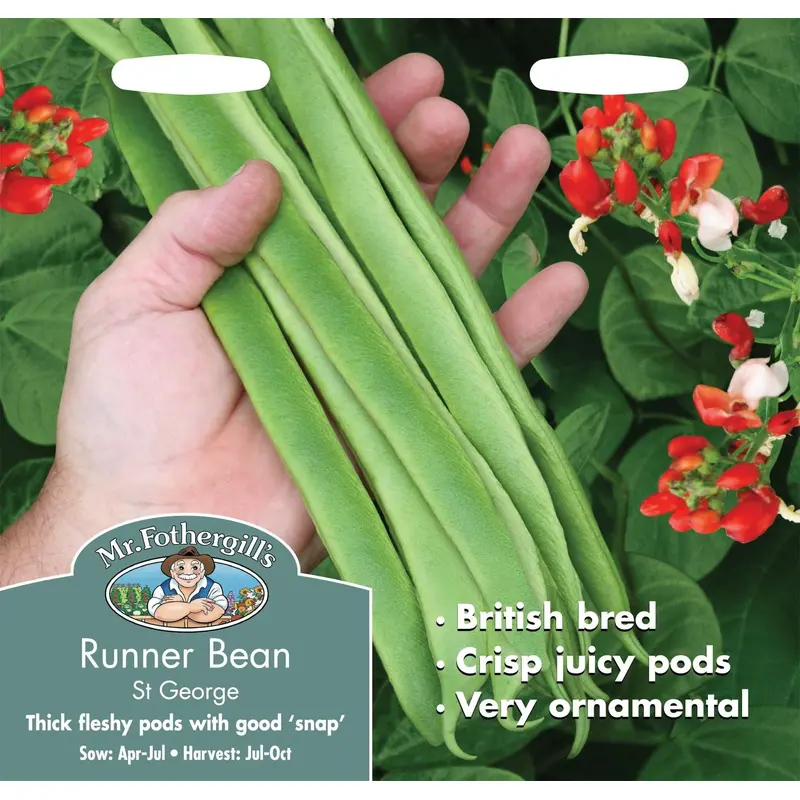 Mr Fothergills Runner Bean St George 40 Seeds