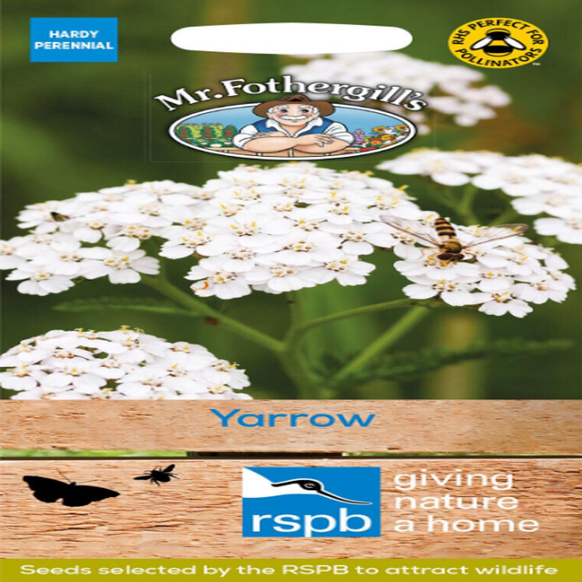 Mr Fothergills Yarrow Seeds