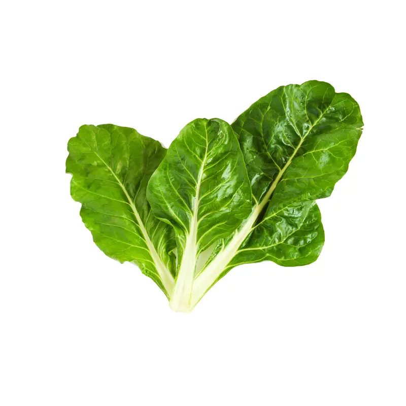 Organic Beet Leaf Swiss Chard Seeds