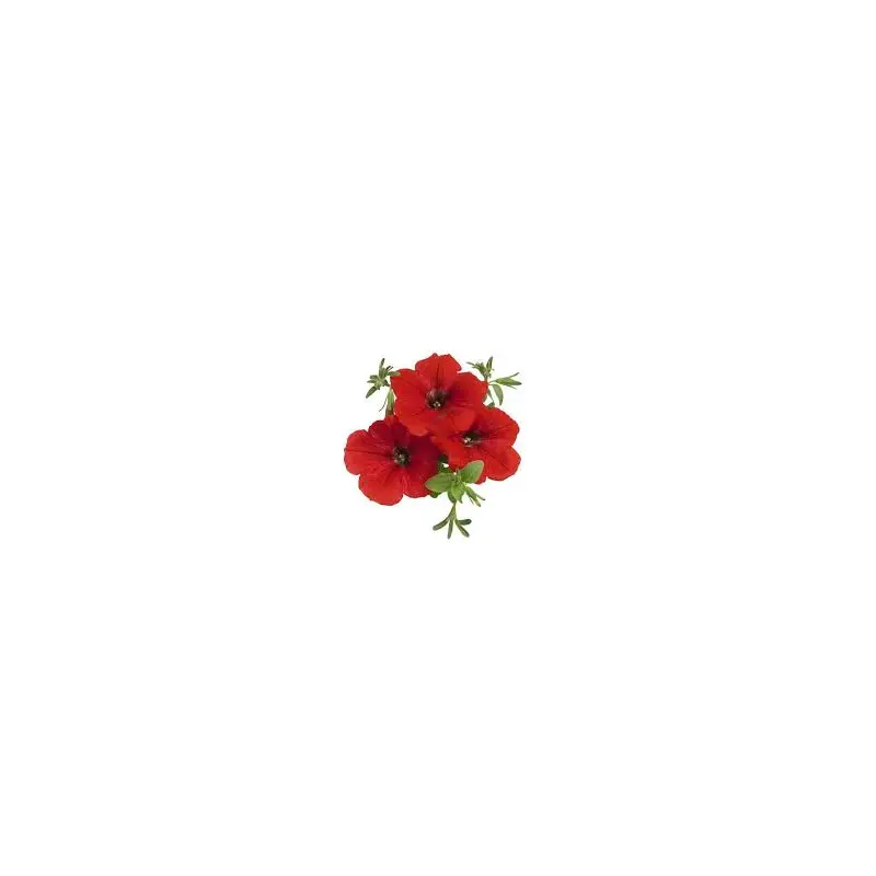 Surprise Fire Engine Red- 4.5" Fancy