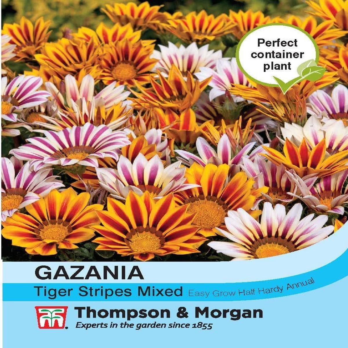 Thompson & Morgan Gazania Tiger Stripes Mixed 20 Seed