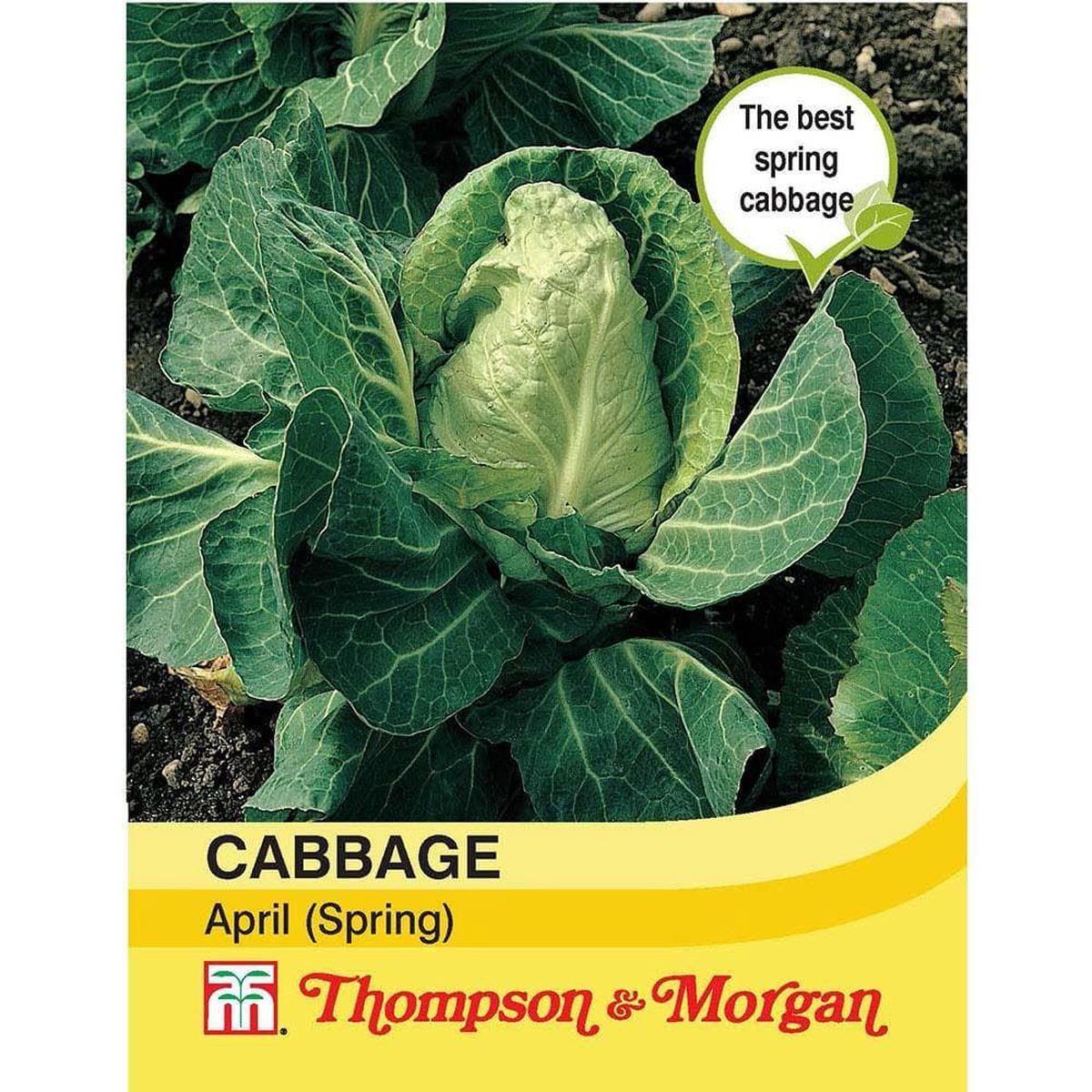 Thompson & Morgan Spring Cabbage April 300 Seed