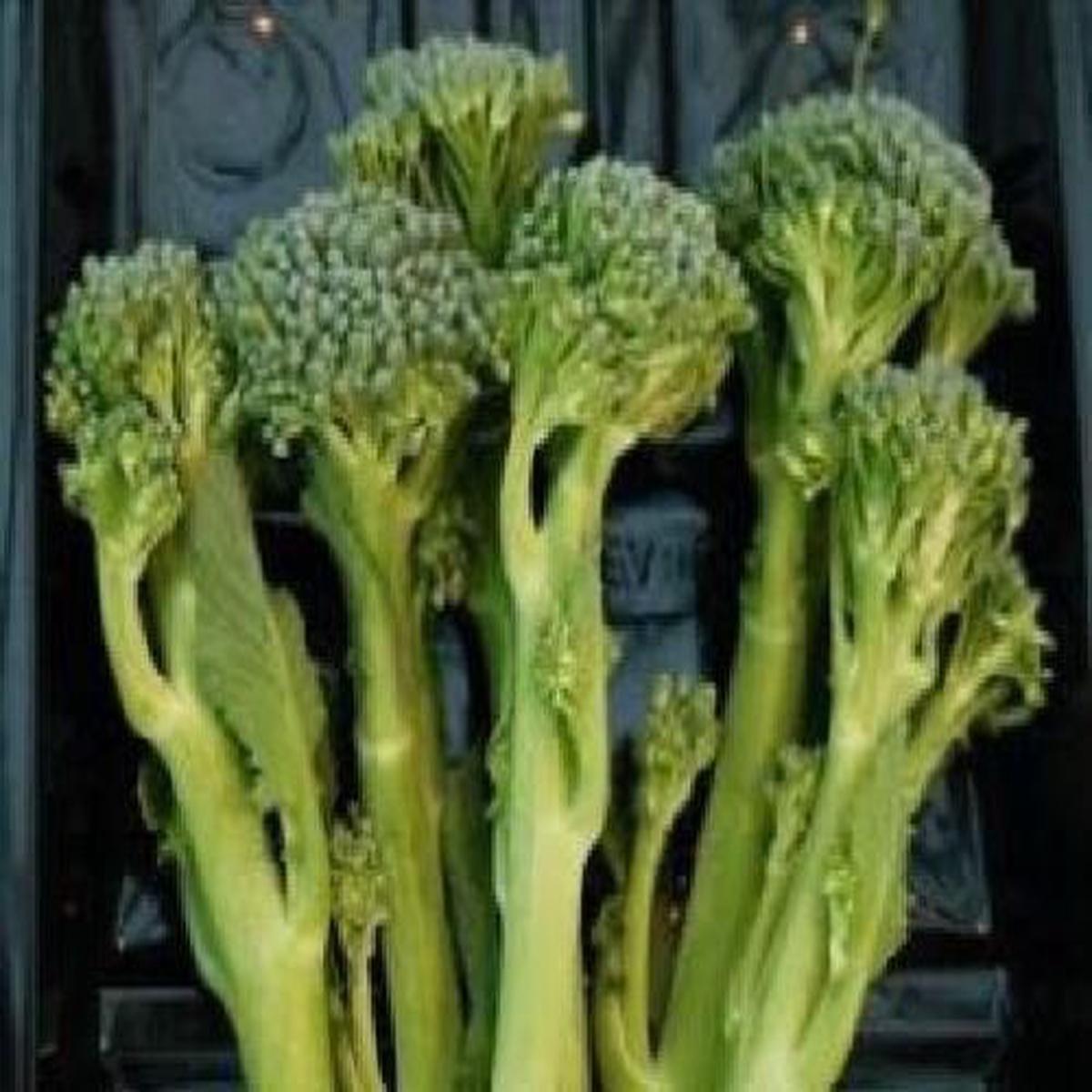 Calabrese Sticcoli F1 Hybrid Seeds