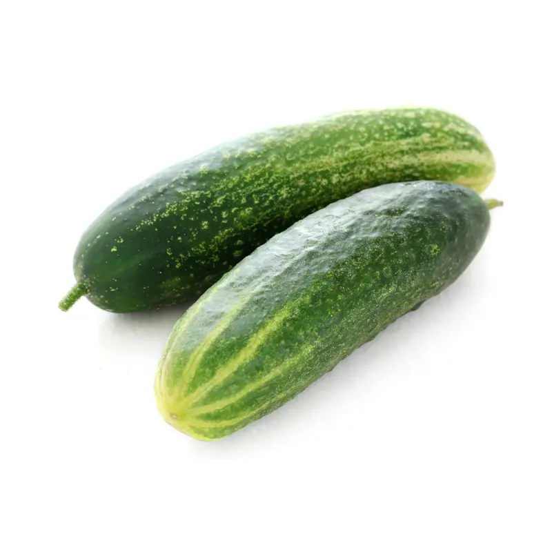 Cucumber Perfection Seeds