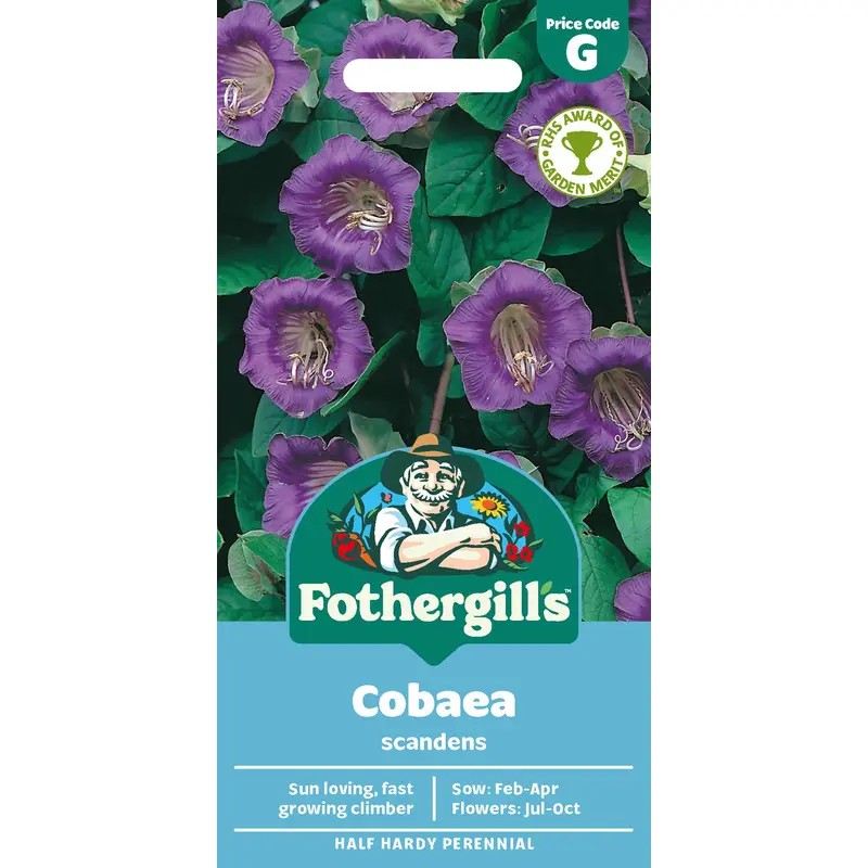 Fothergills Cobaea Scandens Seeds