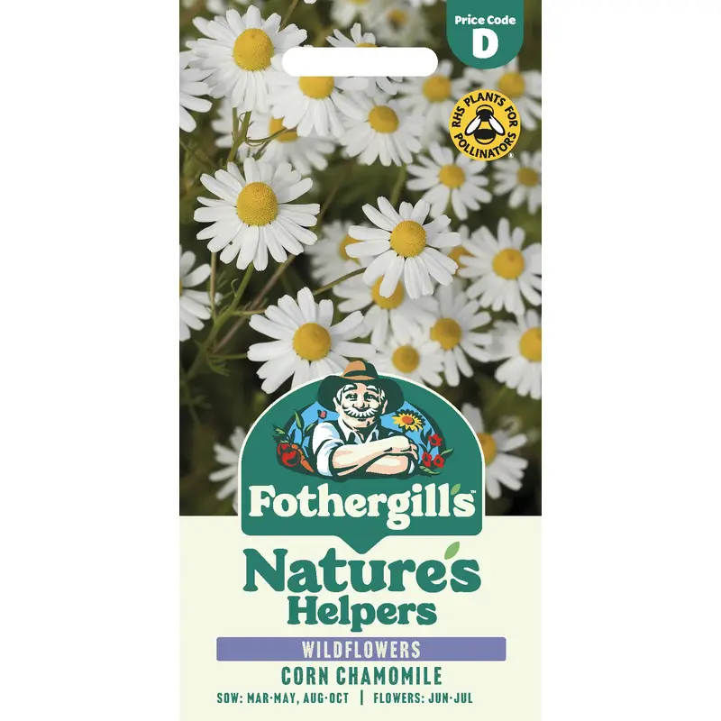 Fothergills Wild flowers Nature Haven Corn Chamomile Seeds