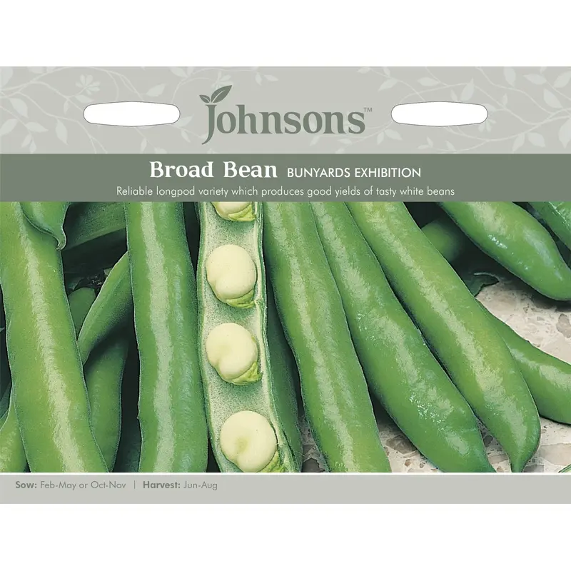 Johnsons Broad Bean Bunyards Exhibition 50 Seeds
