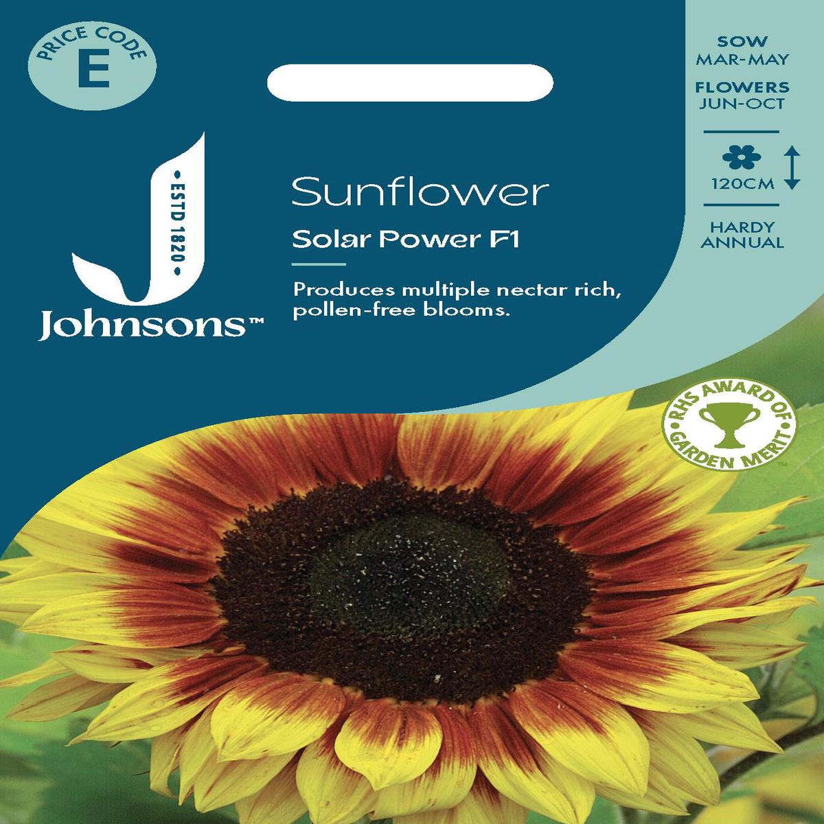 Johnsons - Sunflower Solar Power F1 - 20 Seeds