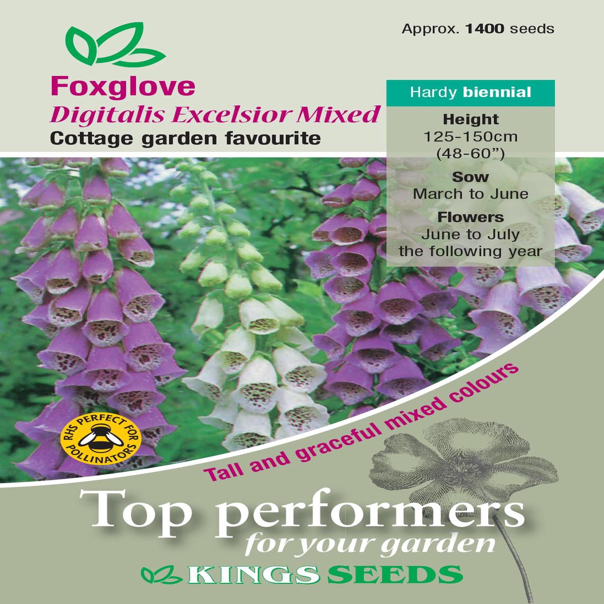 Kings Seeds Foxglove Digitalis Excelsior Mixed Seeds