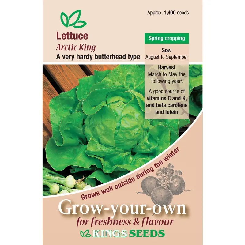 Kings Seeds Lettuce Arctic King 1400 Seeds