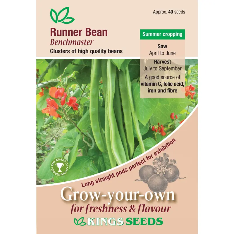 Kings Seeds Runner Bean Benchmaster 40 Seeds