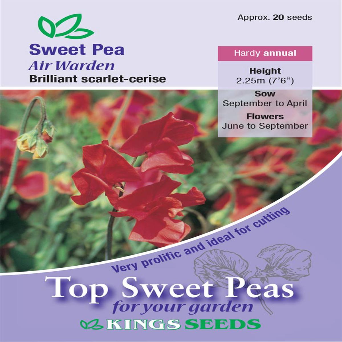 Kings Seeds Sweet Pea Air Warden 20 Seeds