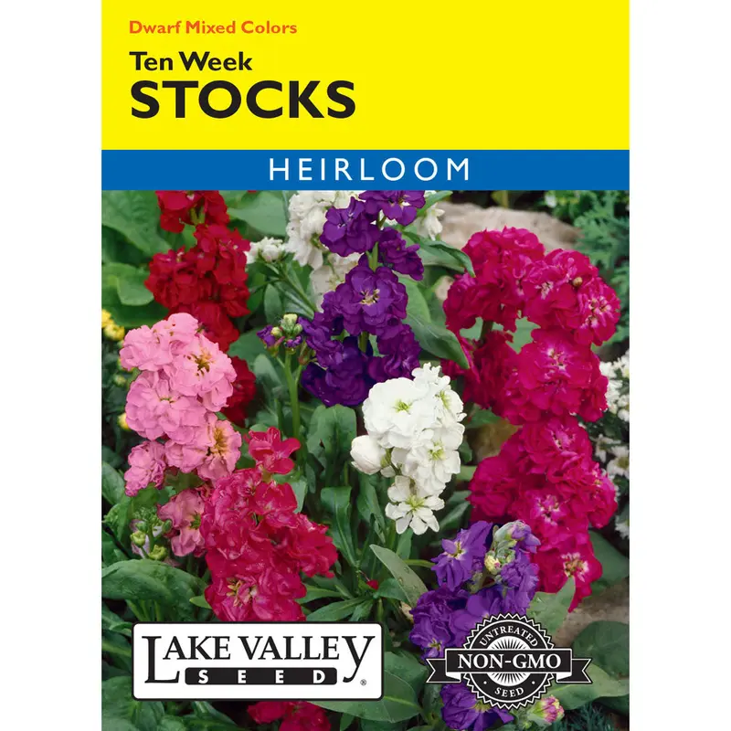 Lake Valley, Stocks Ten Week Dwarf, Mixed Colors