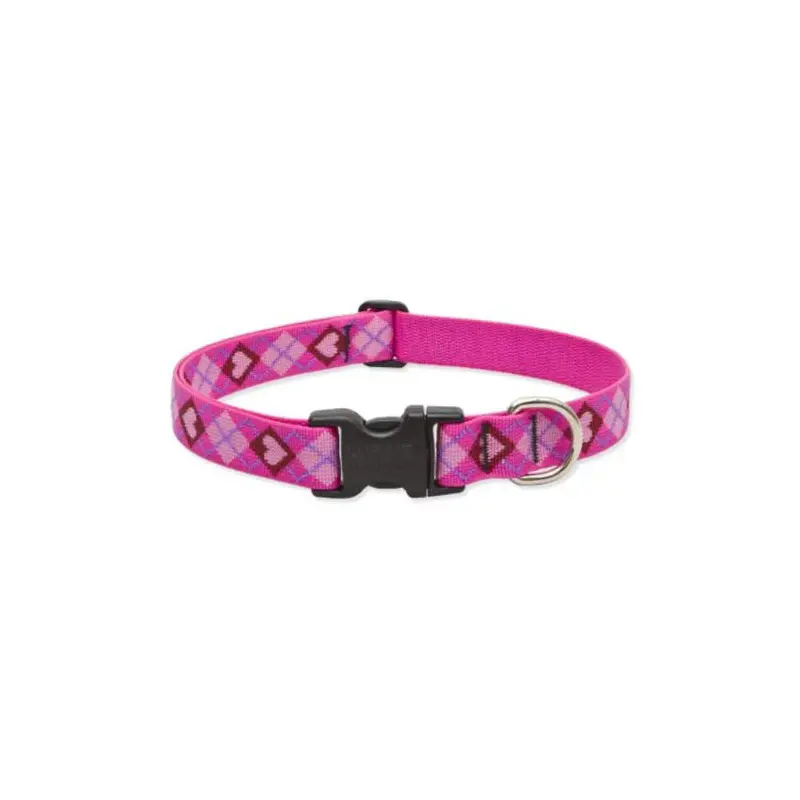 Lupine Dog Collar, 1" Wide, 16"-28" Adjustable Neck, Puppy Love
