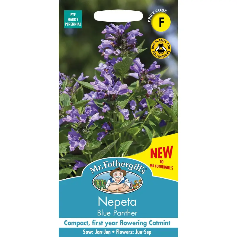 Mr Fothergills - Flower - Nepeta - Blue Panther - 25 Seeds