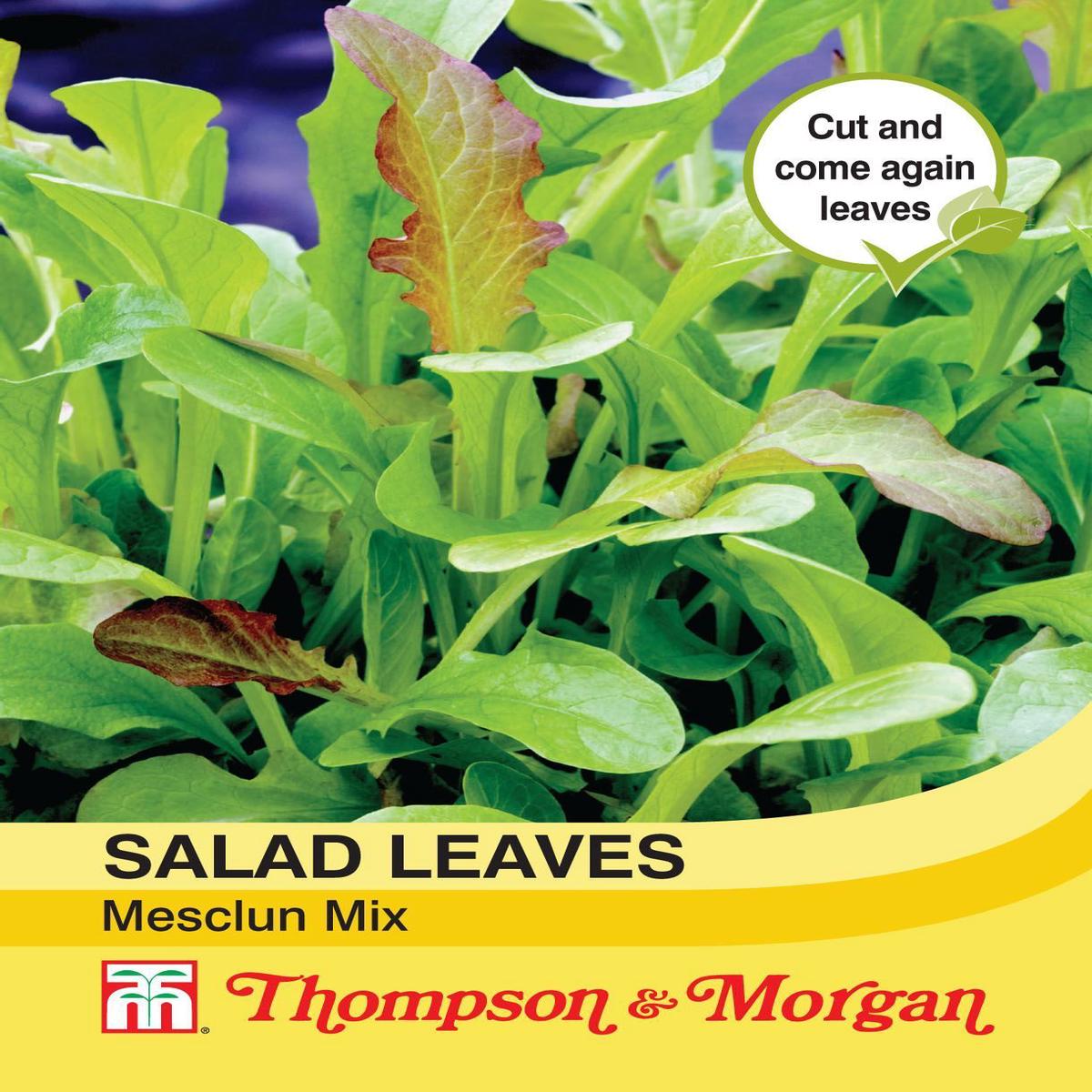 Thompson & Morgan Salad Leaves Mesclun Mixed 500 Seed
