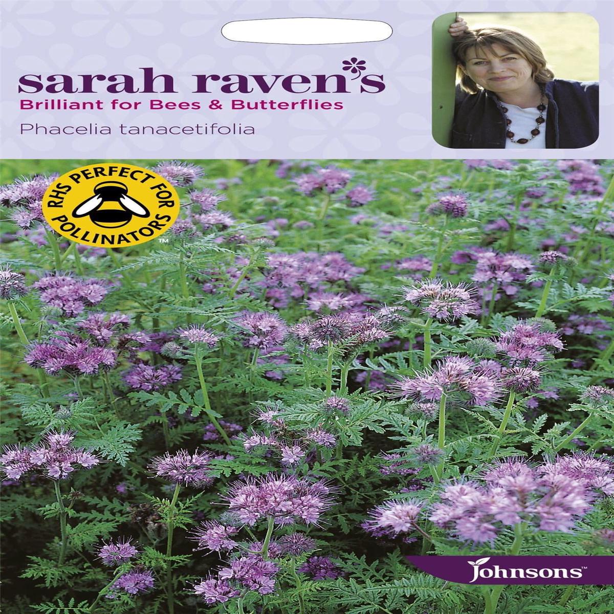 Johnsons Sarah Raven's Phacelia Tanacetifolia 1000 Seeds