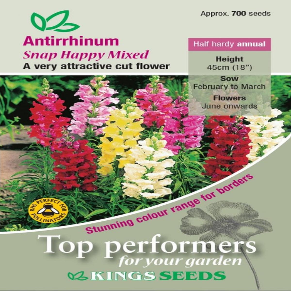 Kings Seeds Antirrhinum Snap Happy Mixed 700 Seeds