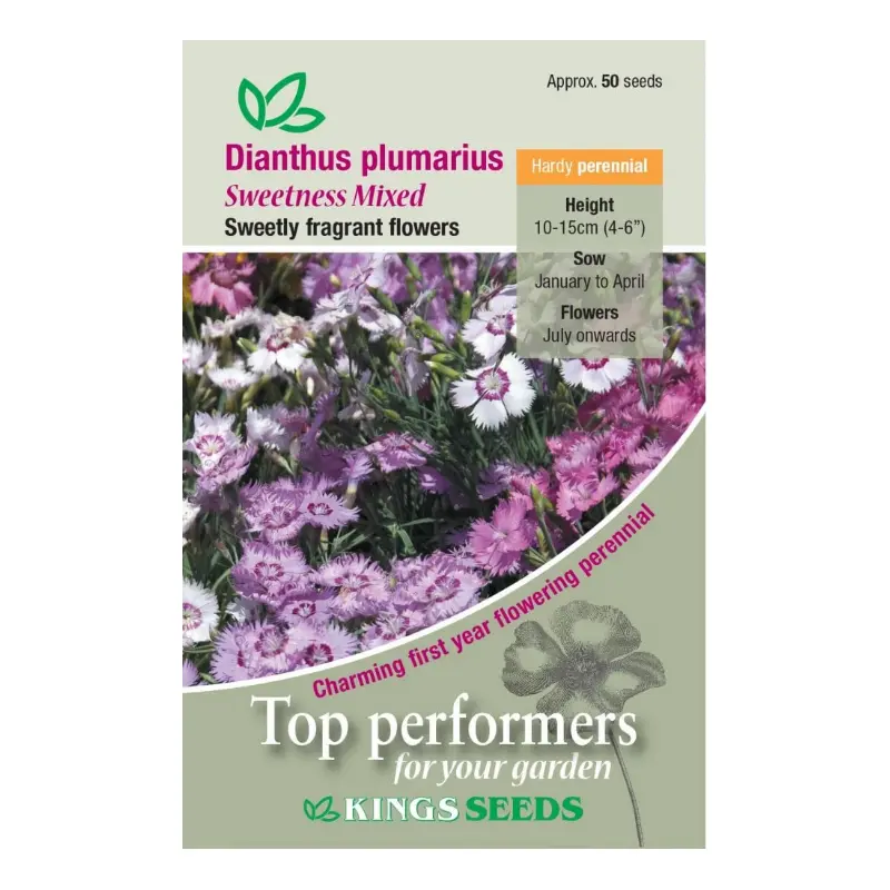 Kings Seeds Dianthus plumarius Sweetness Mixed 50 Seed