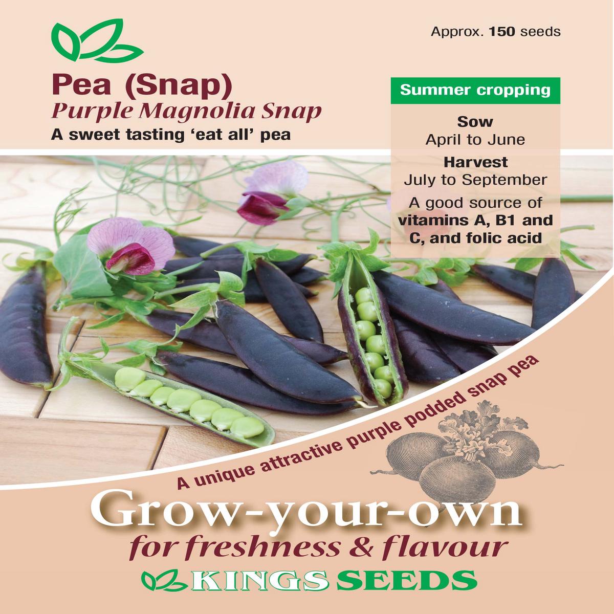 Kings Seeds Pea (Snap) Purple Magnolia Seeds