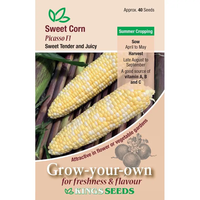 Kings Seeds Sweet Corn Picasso F1 Seeds