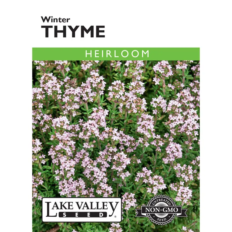 Lake Valley, Thyme, Winter