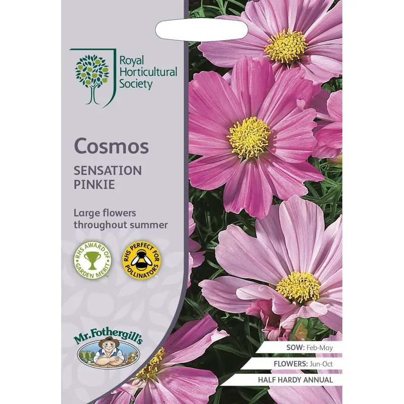 Mr Fothergills RHS Cosmos Sensation Pinkie 150 Seeds