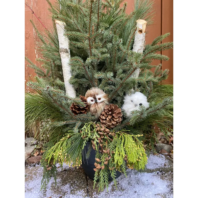 Snow Owl Designer Pot