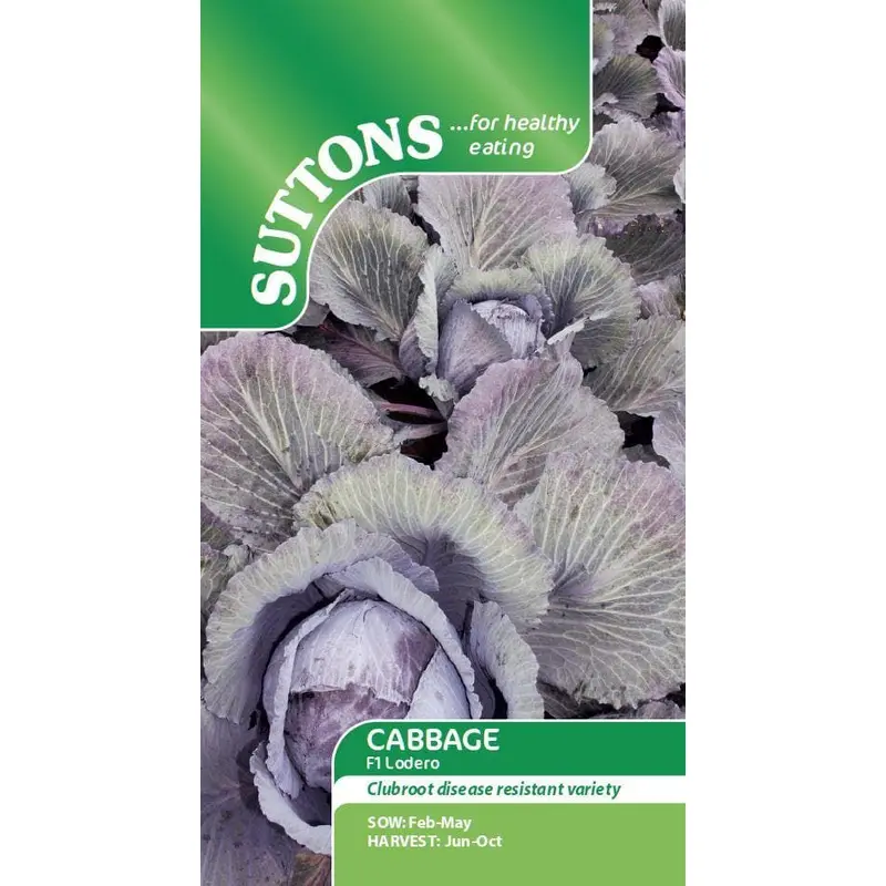 Sutton Seeds - Cabbage Seeds - F1 Lodero