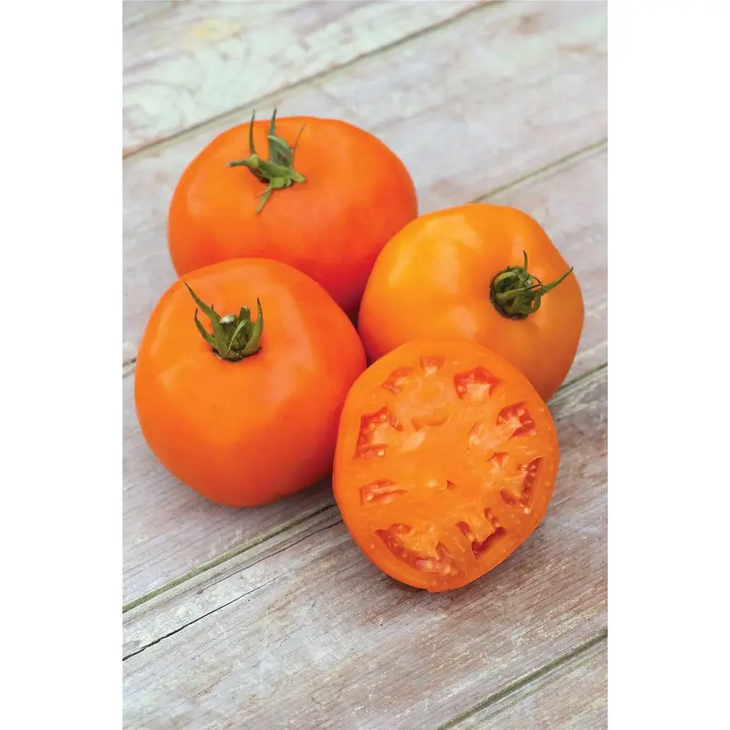 Tomato Orange Slice F1 Hybrid Seeds