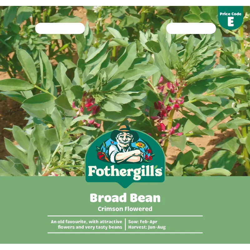 Fothergills Broad Bean Crimson Flowered Seeds
