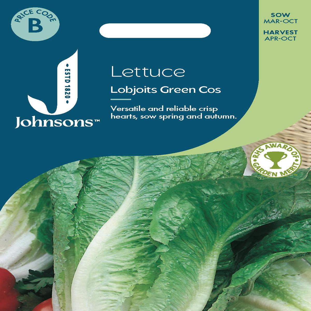 Johnsons - Lettuce Lobjoits Green Cos - 1000 Seeds