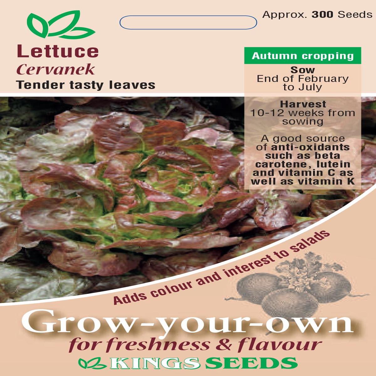 Kings Seeds Lettuce Cervanek Seeds