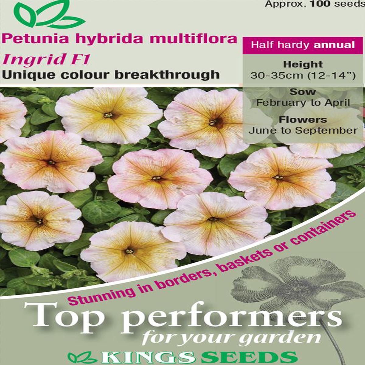 Kings Seeds Petunia Hybrida Multiflora Ingrid F1 Seeds