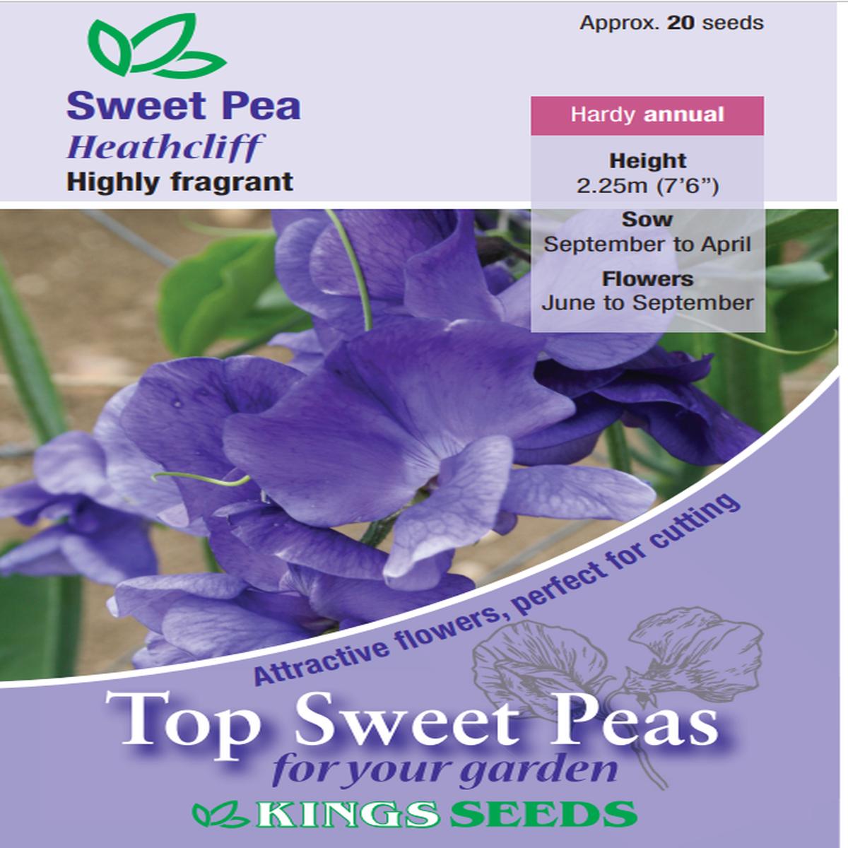 Kings Seeds Sweet Pea Heathcliff 20 Seeds