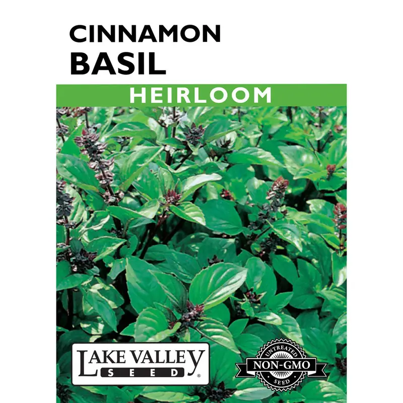 Lake Valley, Basil, Cinnamon