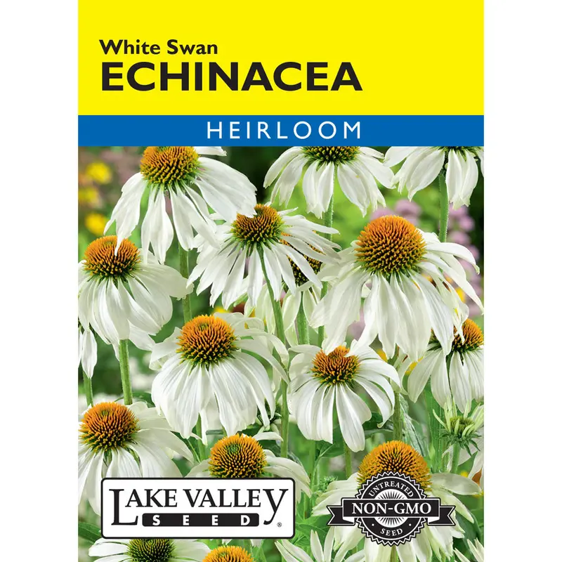 Lake Valley, Echinacea, White Swan