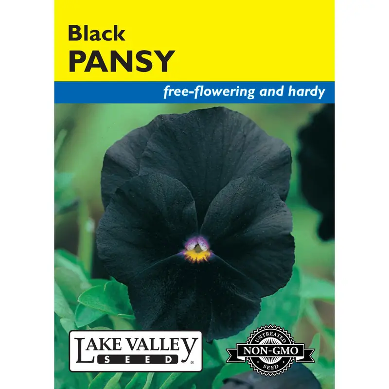 Lake Valley, Pansy, Black