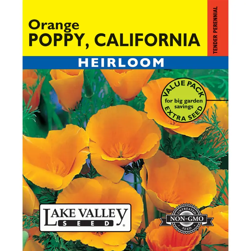 Lake Valley, Poppy, California Orange