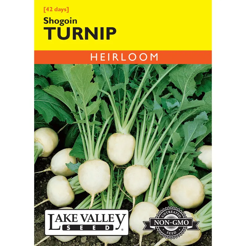 Lake Valley, Turnip, Shogoin