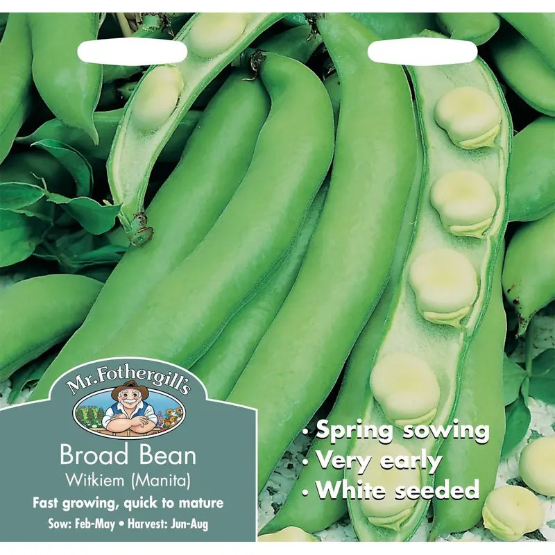 Mr Fothergills Broad Bean Witkiem Manita 45 Seeds