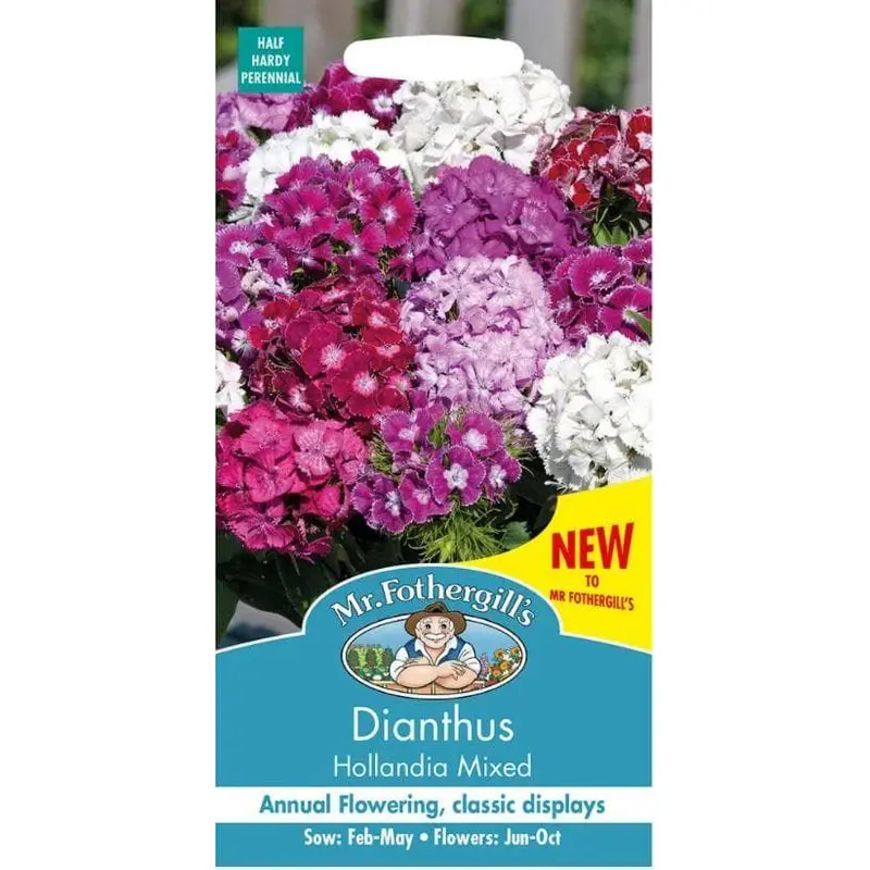 Mr Fothergills Dianthus Hollandia Mix 100 Seeds