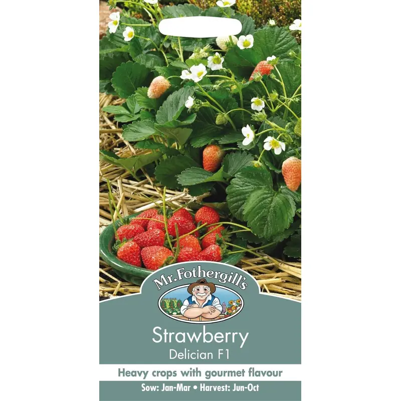 Mr Fothergills Fruit Strawberry Delician F1 Seeds