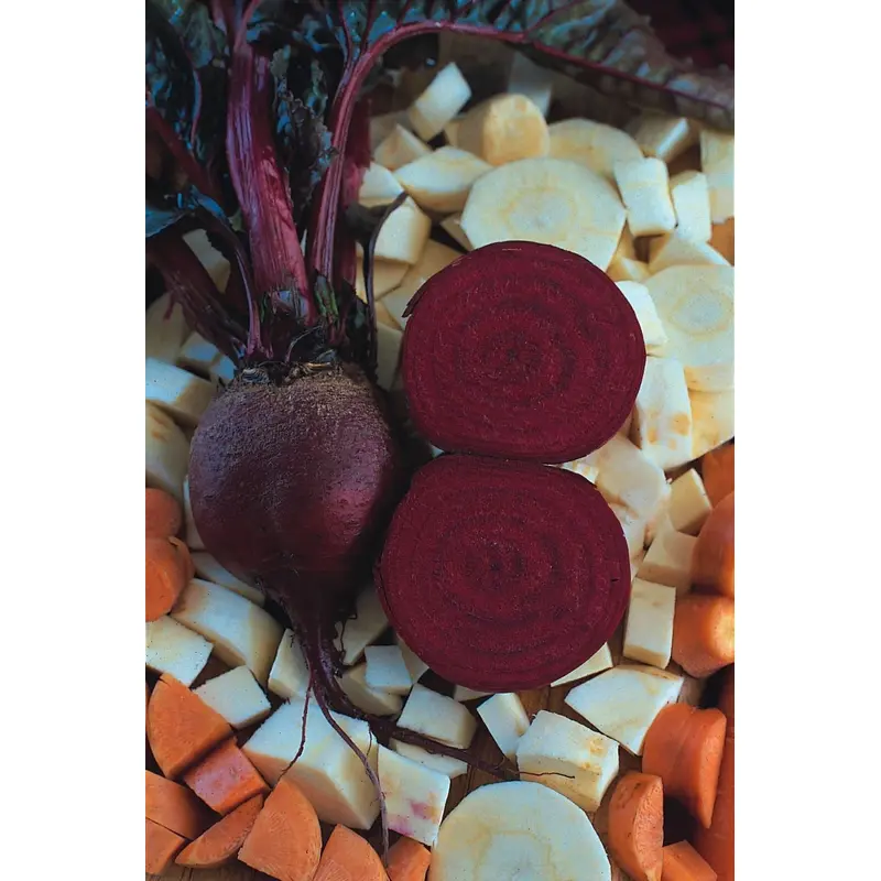 Organic Beetroot Detroit Seeds
