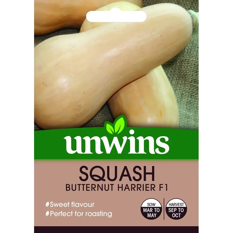 Unwins Squash Butternut Harrier F1 - 10 Seeds