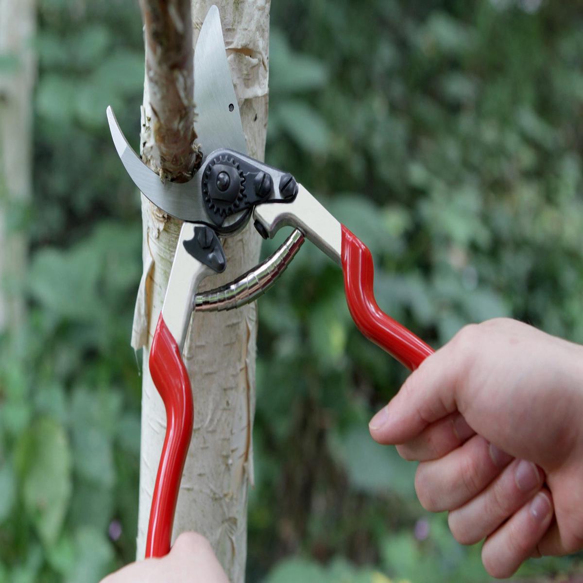 Darlac DP1040 Expert Dual Bypass Pruner UK SHIPPING ONLY