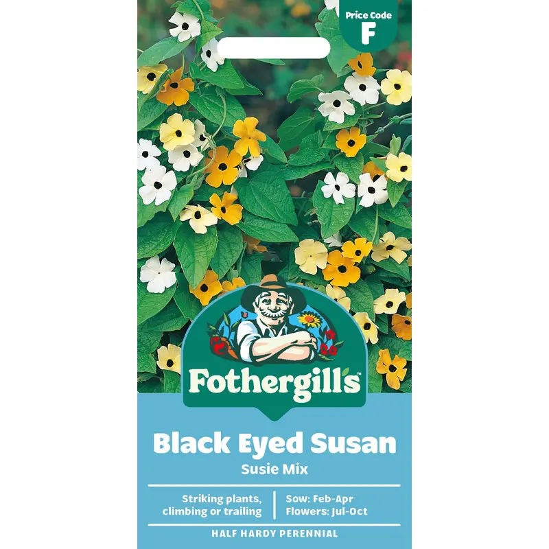 Fothergills Black Eyed Susan Susie Mix Seeds